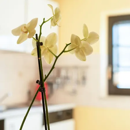 Modern In Hunsruck Apartman Merschbach